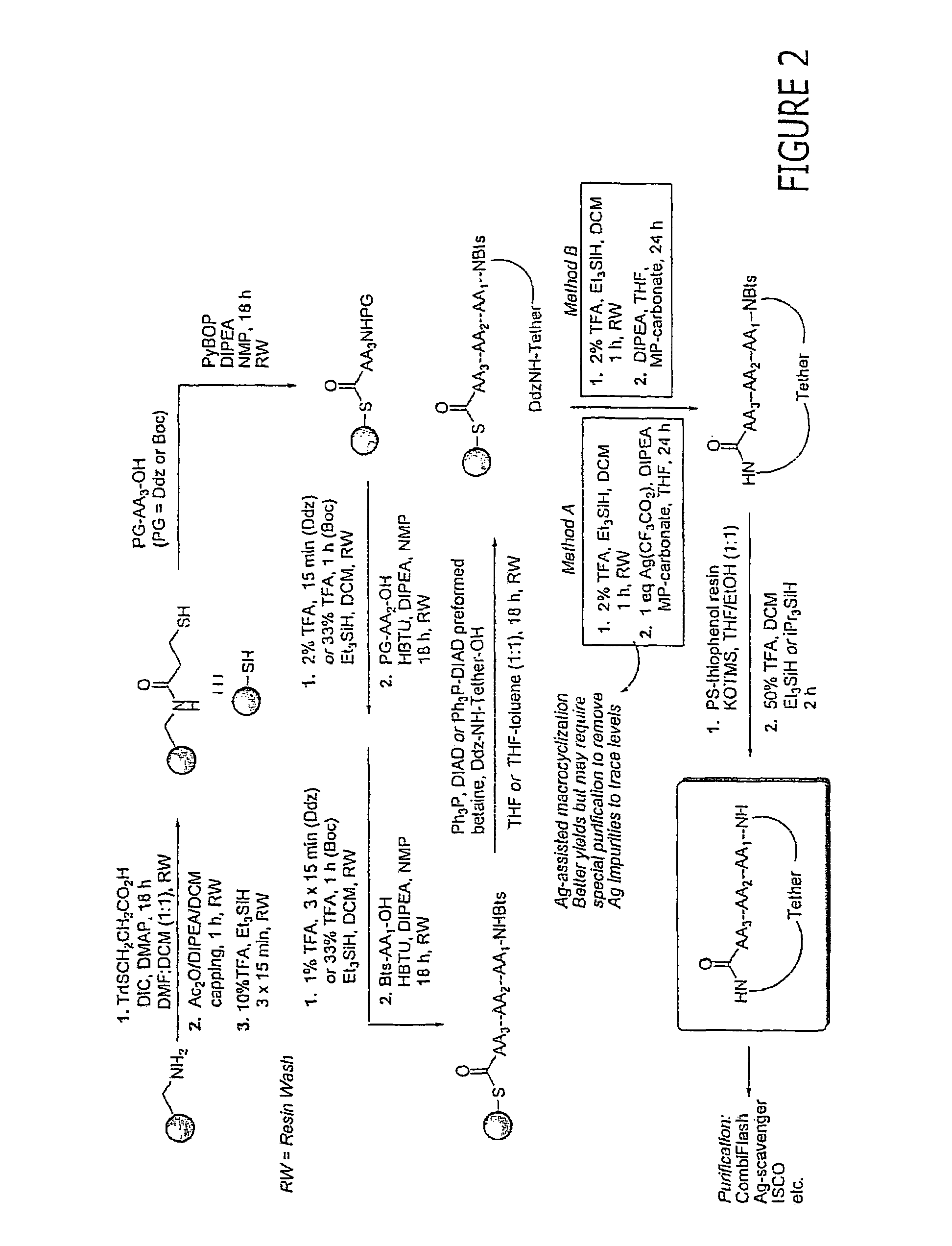 Macrocyclic modulators of the Ghrelin receptor