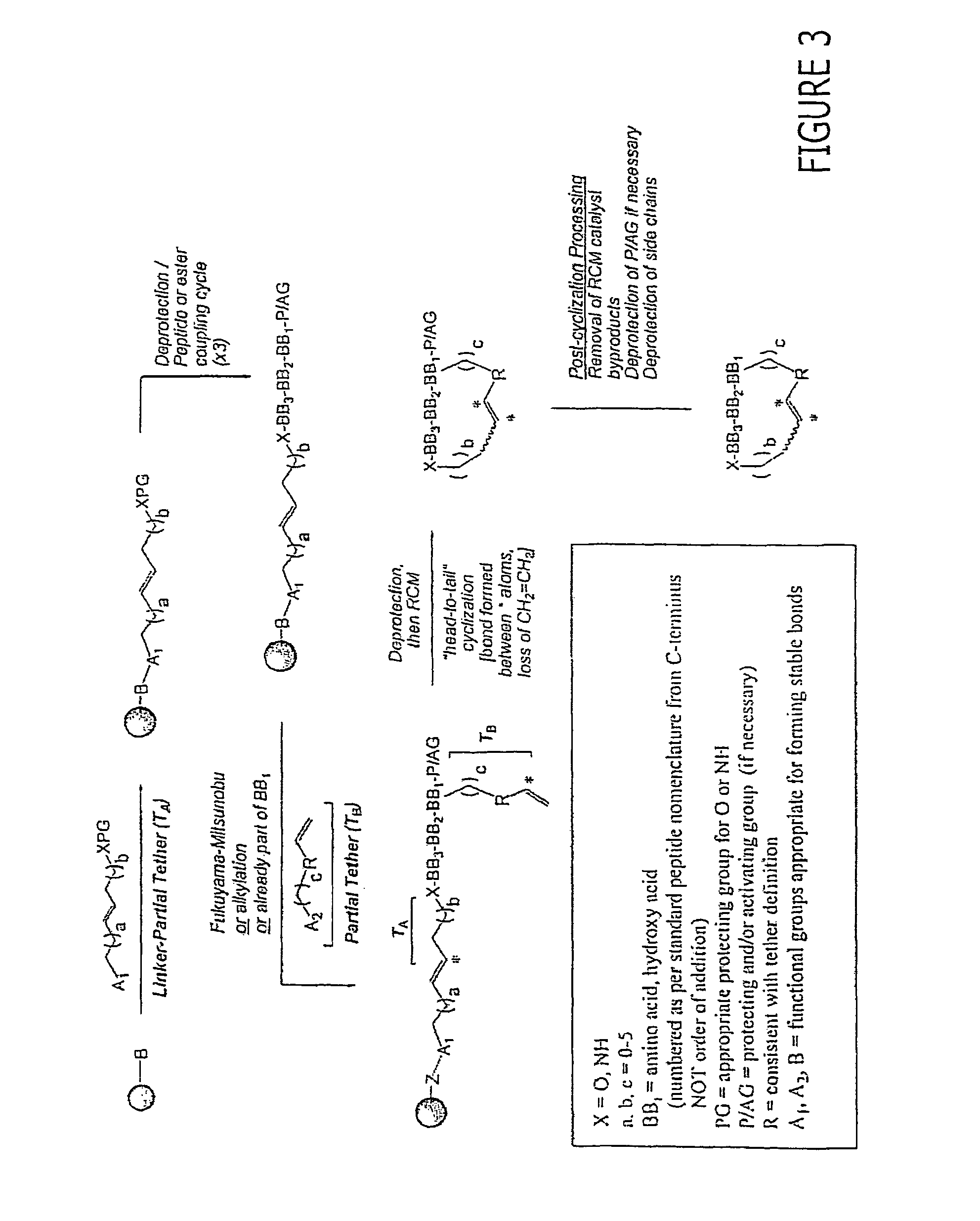 Macrocyclic modulators of the Ghrelin receptor