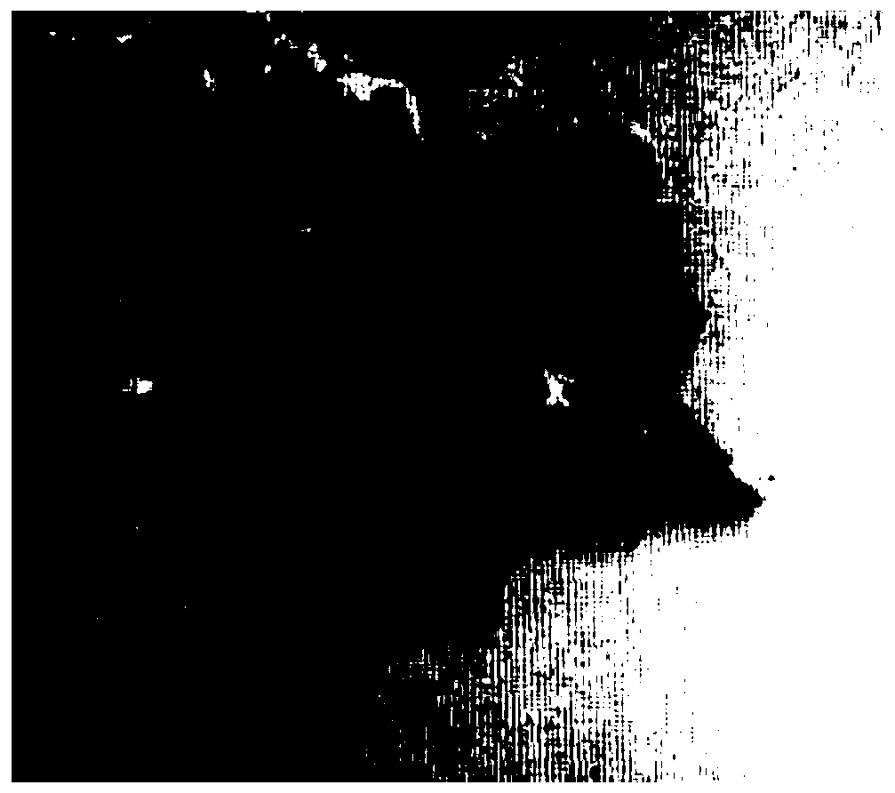 Drug-loaded microspheres loaded with oncolytic virus and preparation method thereof