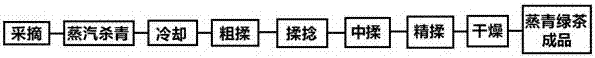 Green tea-plum wine and preparation method thereof