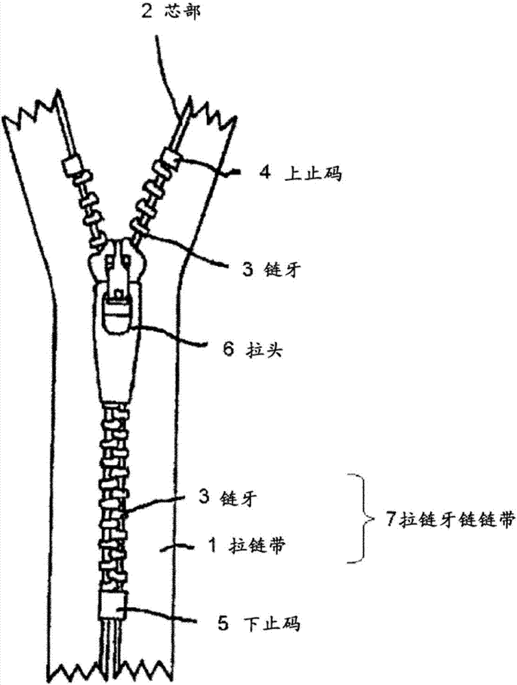 Metallic zipper member and zipper equipped with same