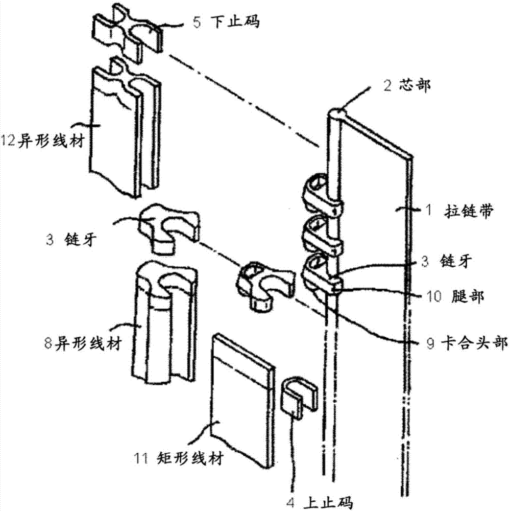 Metallic zipper member and zipper equipped with same