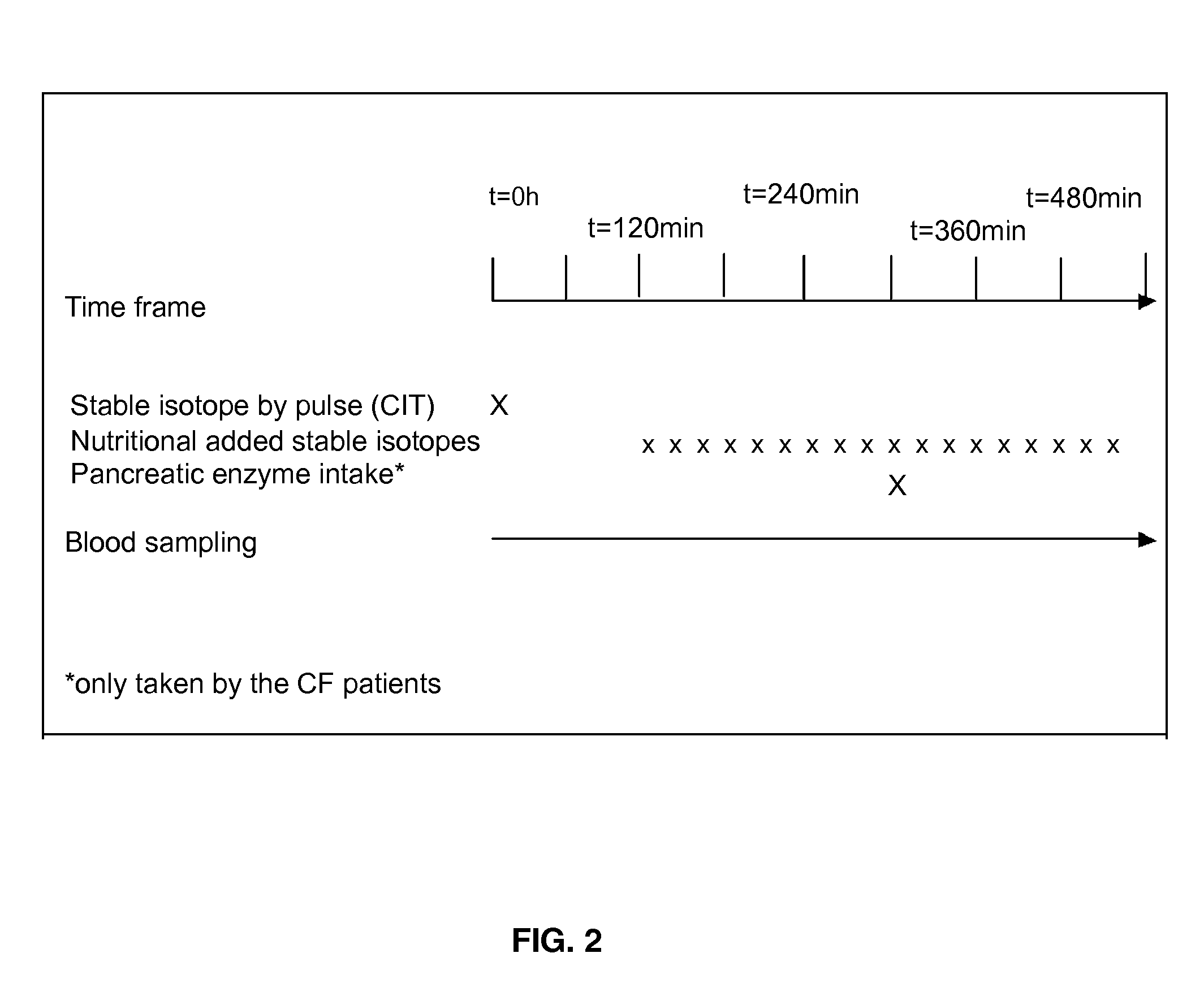 Methods of Measuring Protein and/or Fat Digestibility and Uses Thereof