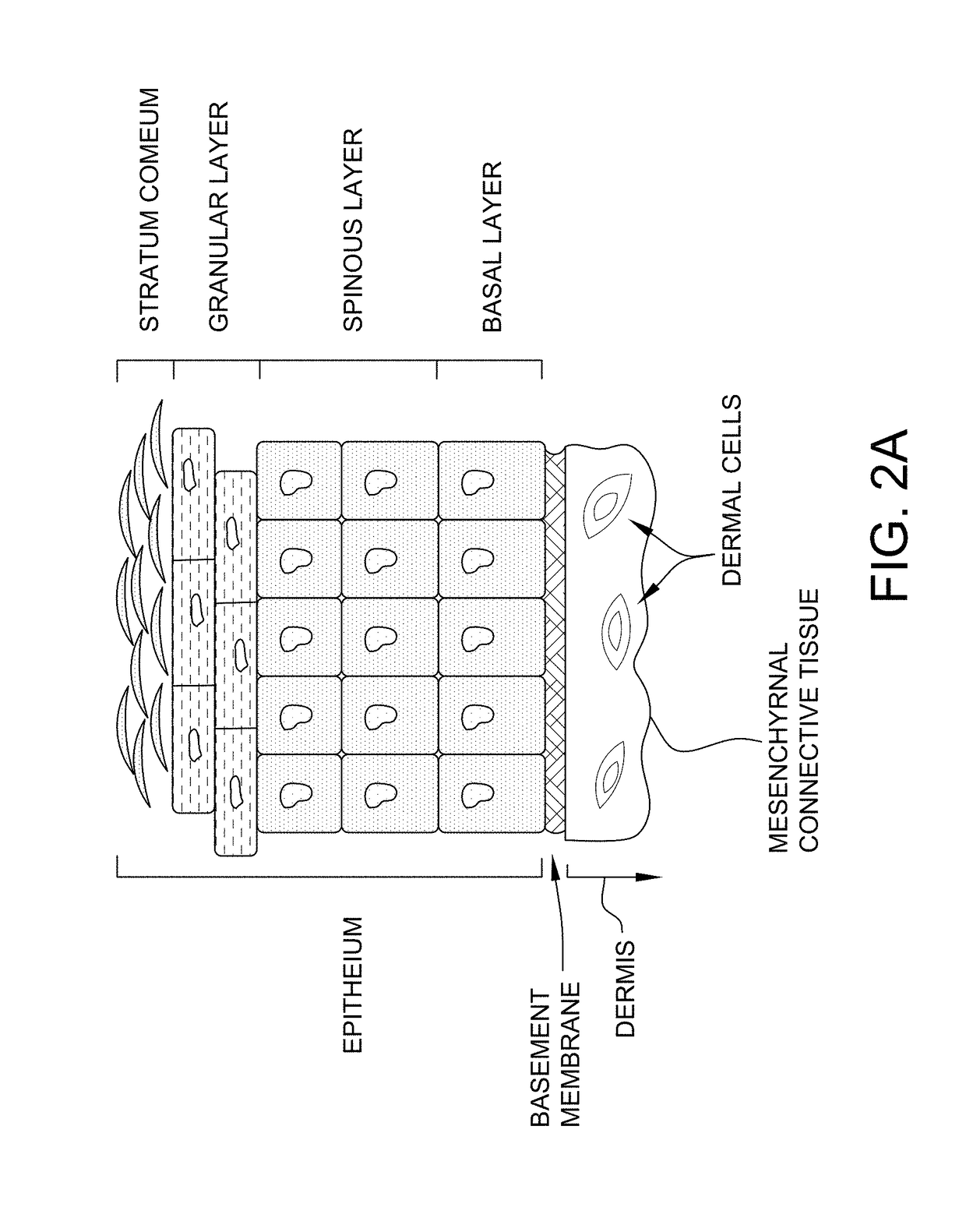 Methods for lymphatic delivery of active agents