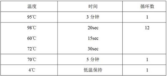 Kit for simultaneously extracting plasma and blood cell pathogenic bacterium DNA and application