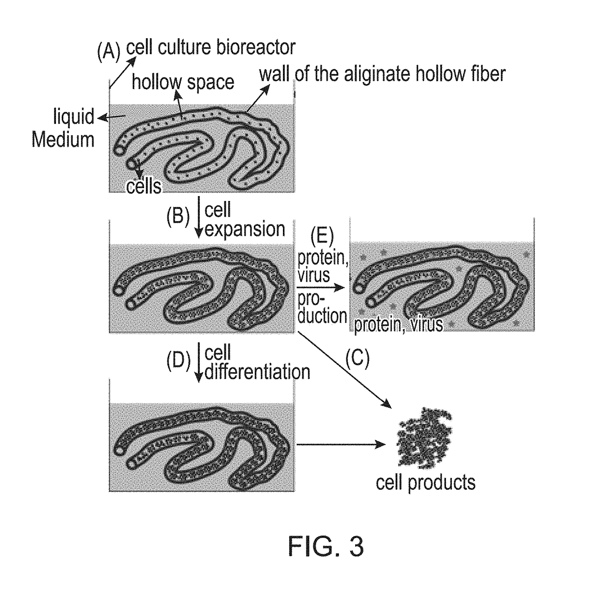 Large scale cell manufacture system