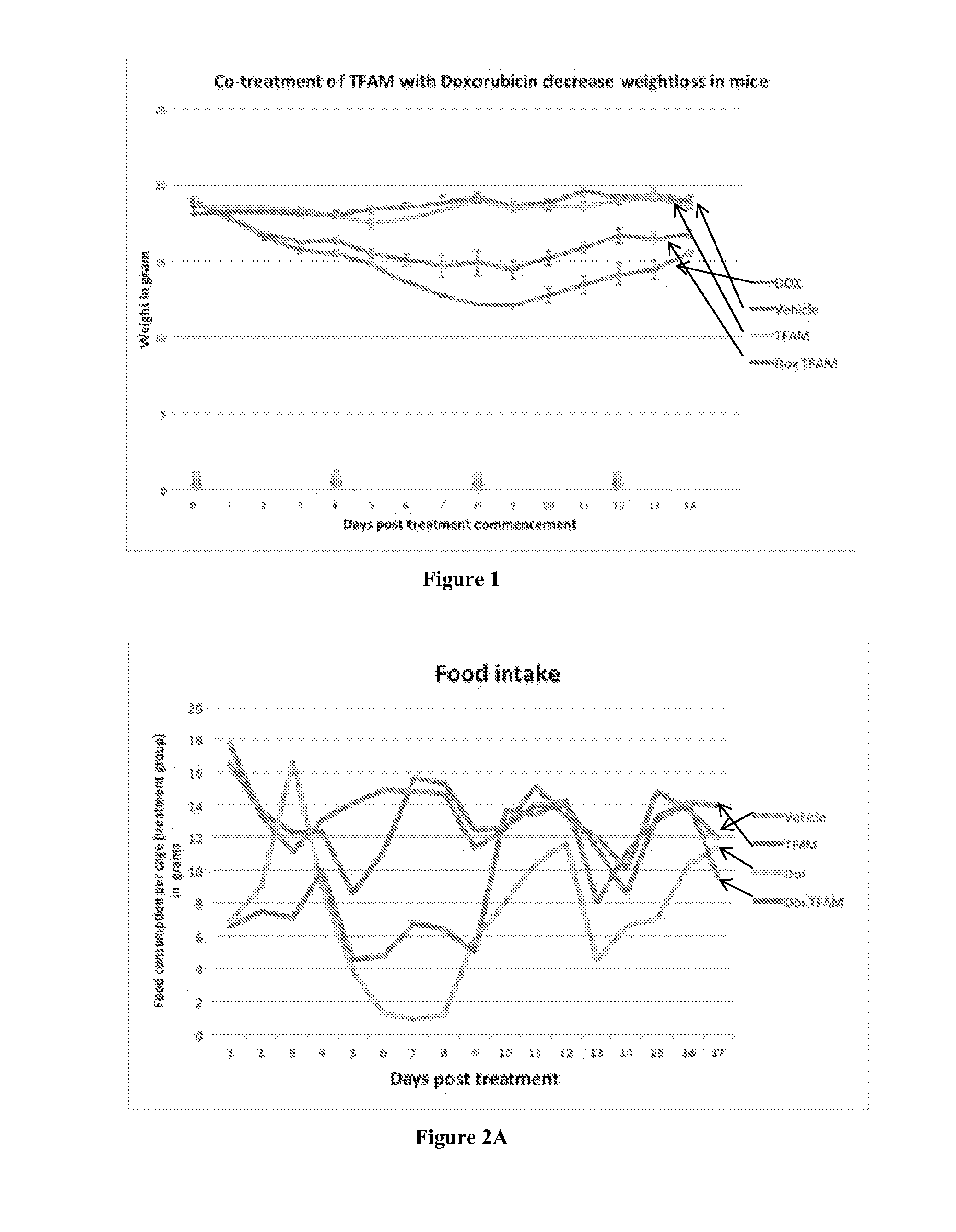 Methods of Mitigating Side Effects of Radiation Exposure and Chemotherapy