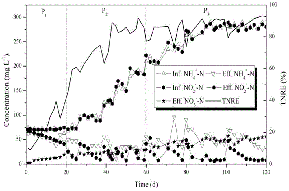 Operational method for rapid restart of an anammox reactor contaminated with heavy metals