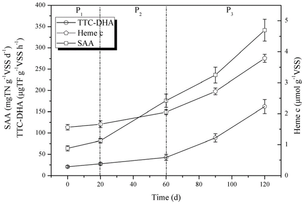 Operational method for rapid restart of an anammox reactor contaminated with heavy metals