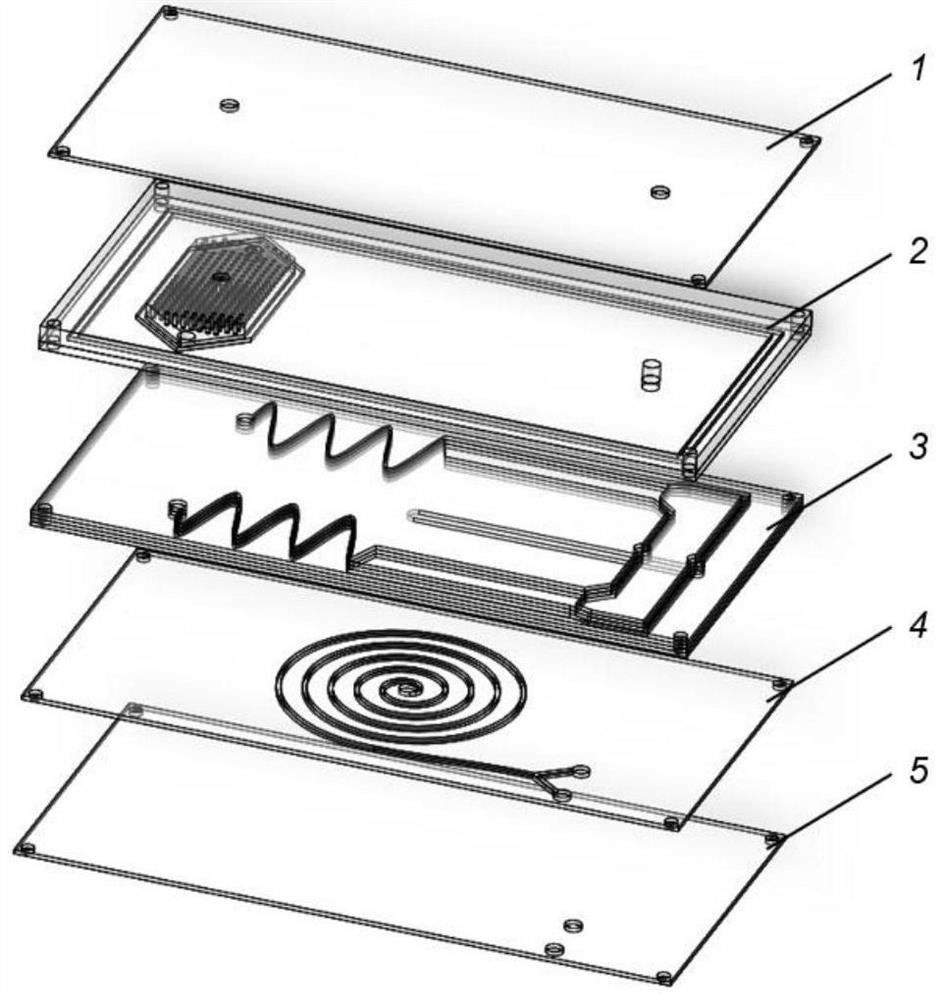 Multistage separating micro-fluidic chip for cells