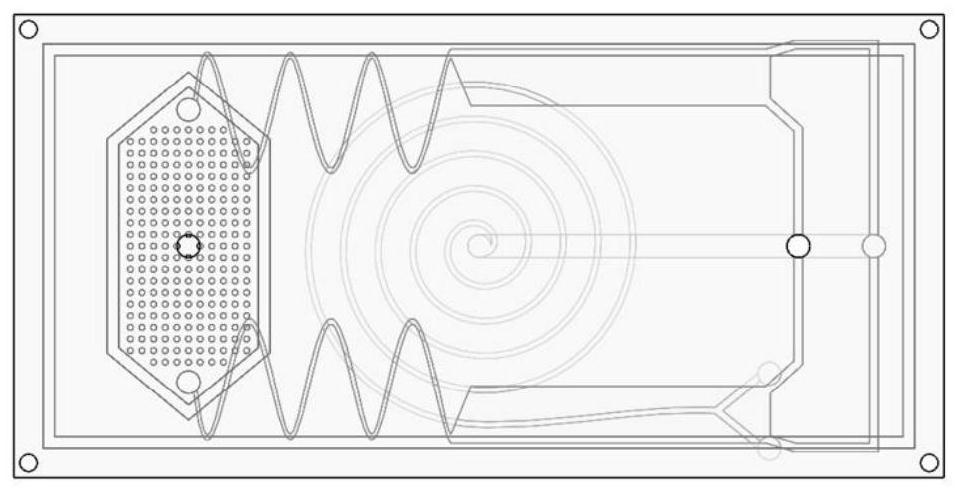 Multistage separating micro-fluidic chip for cells