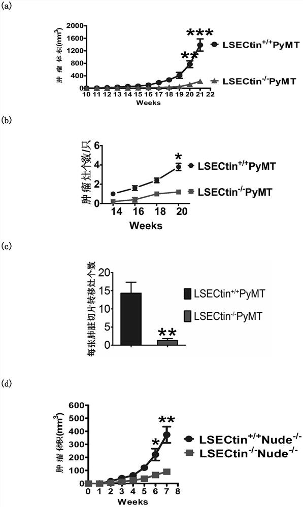 Cancer immunotherapy targets targeting tumor-associated macrophages