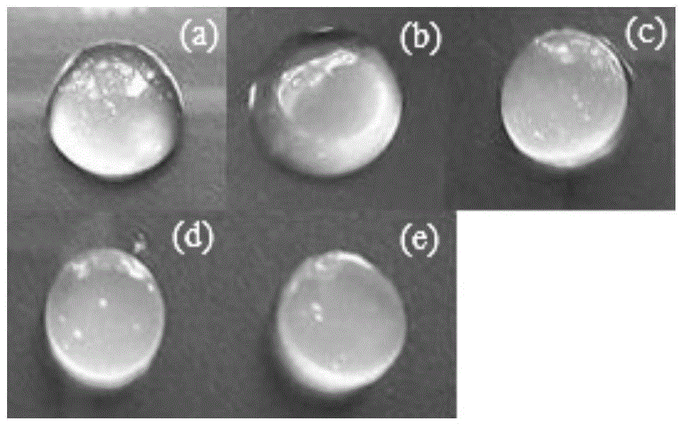 Method for preparing high-porosity three-dimensional calcium alginate gel scaffolds by virtue of pulsed ultrasonic wave