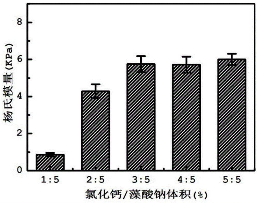 Method for preparing high-porosity three-dimensional calcium alginate gel scaffolds by virtue of pulsed ultrasonic wave