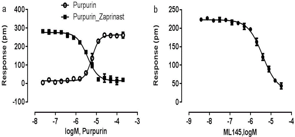 GPR35 receptor agonist and application thereof