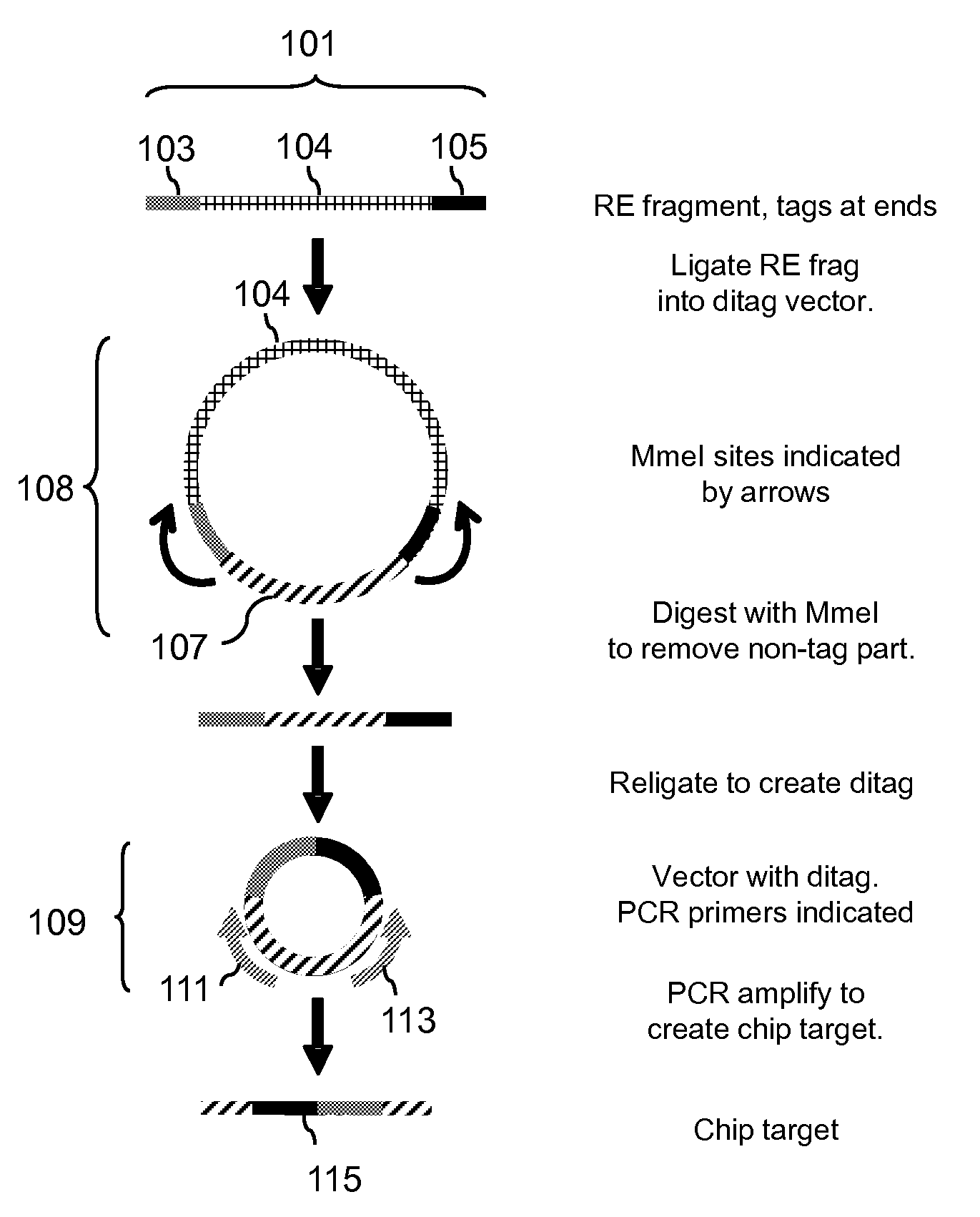 Array-based translocation and rearrangement assays