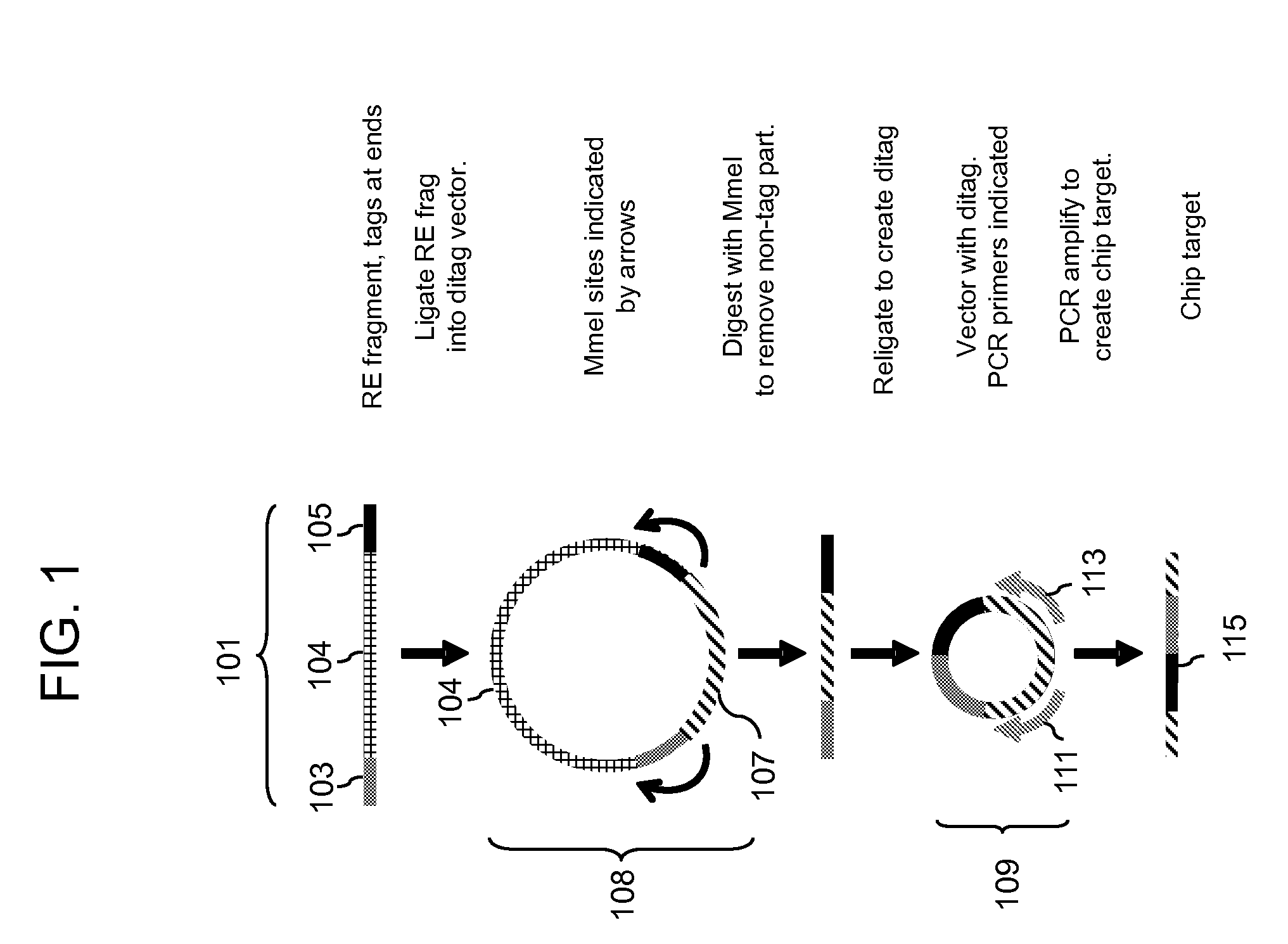 Array-based translocation and rearrangement assays