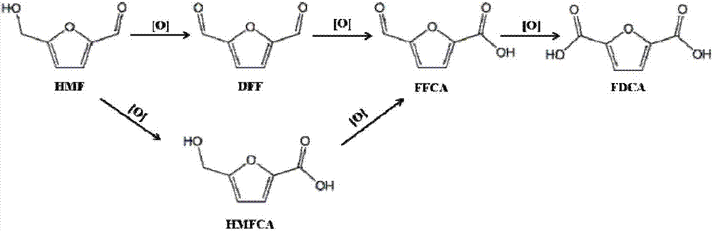 Catalyst for catalyzing 5-hydroxymethylfurfural to prepare furan-2,5-dicarbaldehyde in water phase, and preparation method and application of catalyst