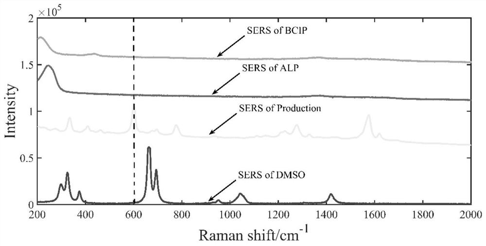 Method for quantitatively detecting alkaline phosphatase in seawater based on surface enhanced Raman spectroscopy technology