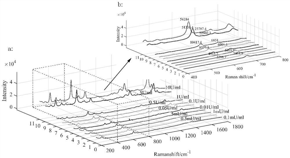 Method for quantitatively detecting alkaline phosphatase in seawater based on surface enhanced Raman spectroscopy technology