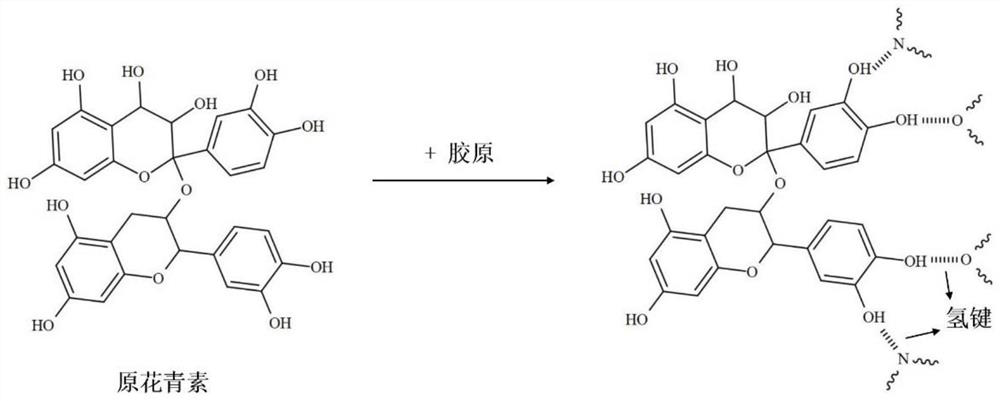 A kind of collagen-based bioink for 3D bioprinting and its preparation method and application