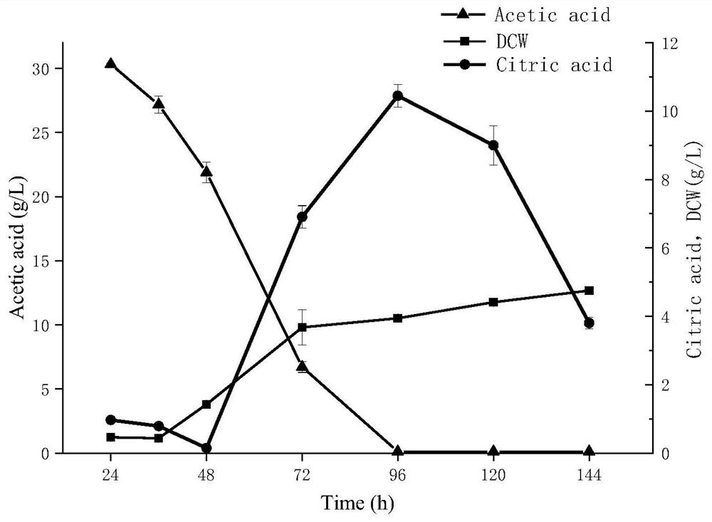 Construction method of yarrowia lipolytica genetically engineered bacterium for producing citric acid or itaconic acid by using acetic acid