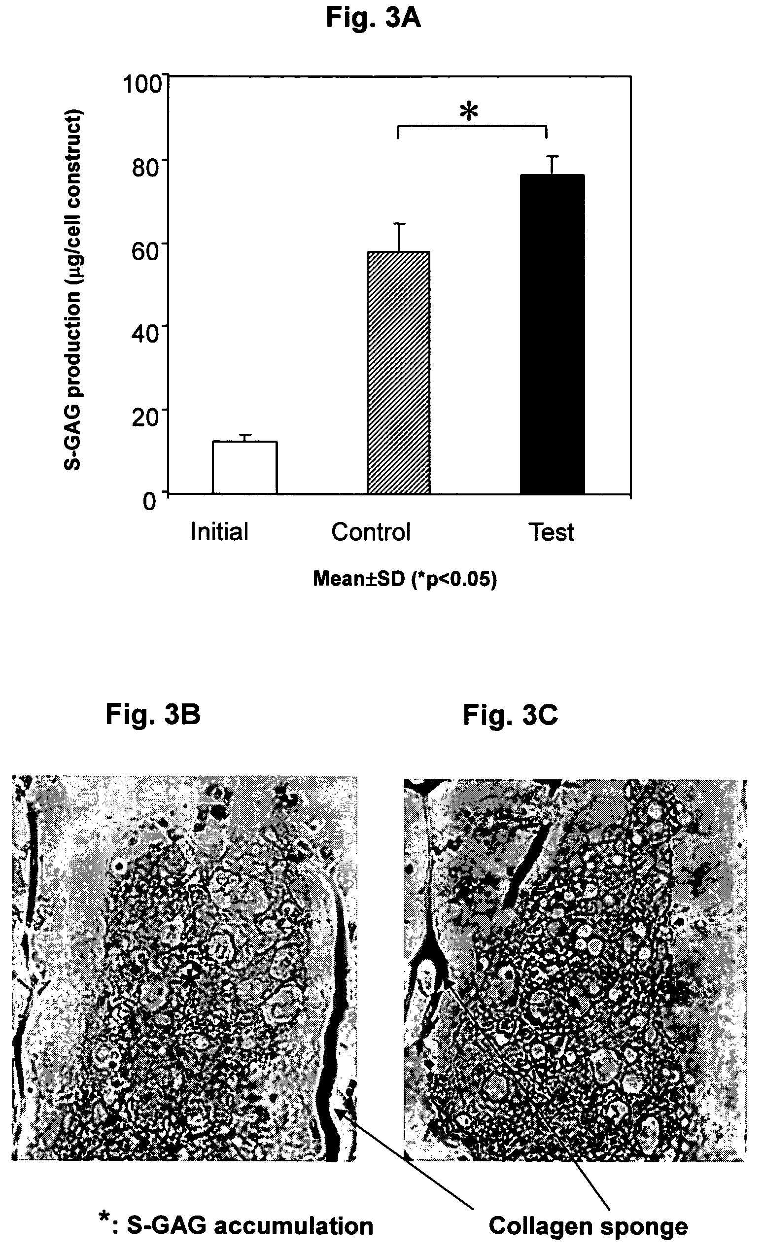 Method for preparing and implanting a cartilage construct to treat cartilage lesions