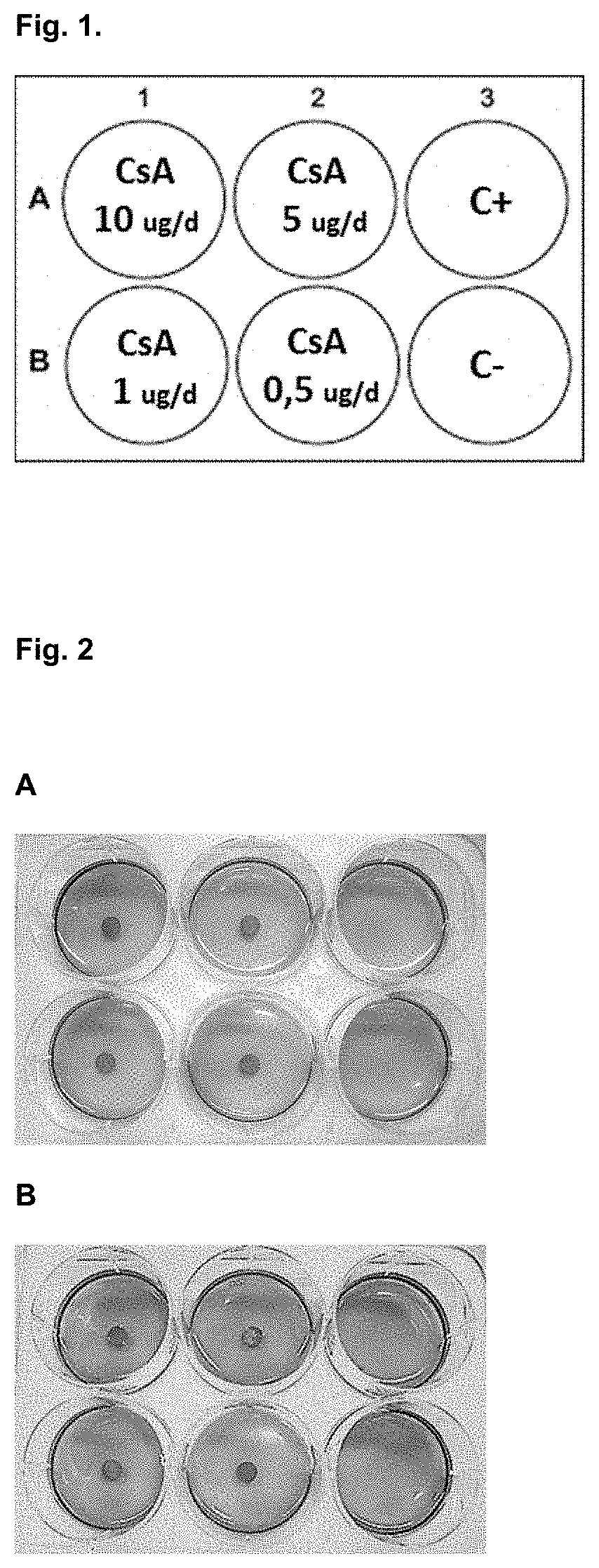 Method for predicting and monitoring clinical response to immunomodulatory therapy