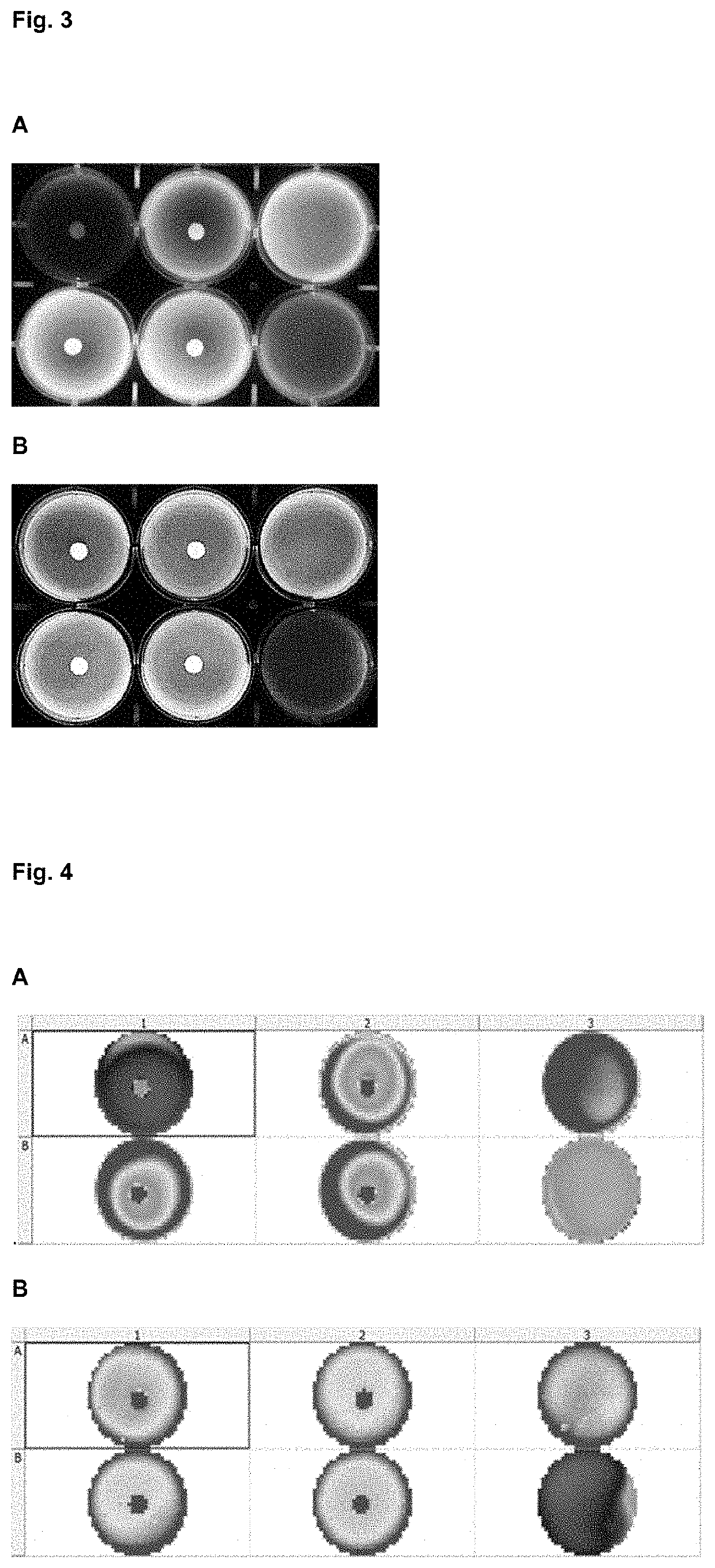 Method for predicting and monitoring clinical response to immunomodulatory therapy