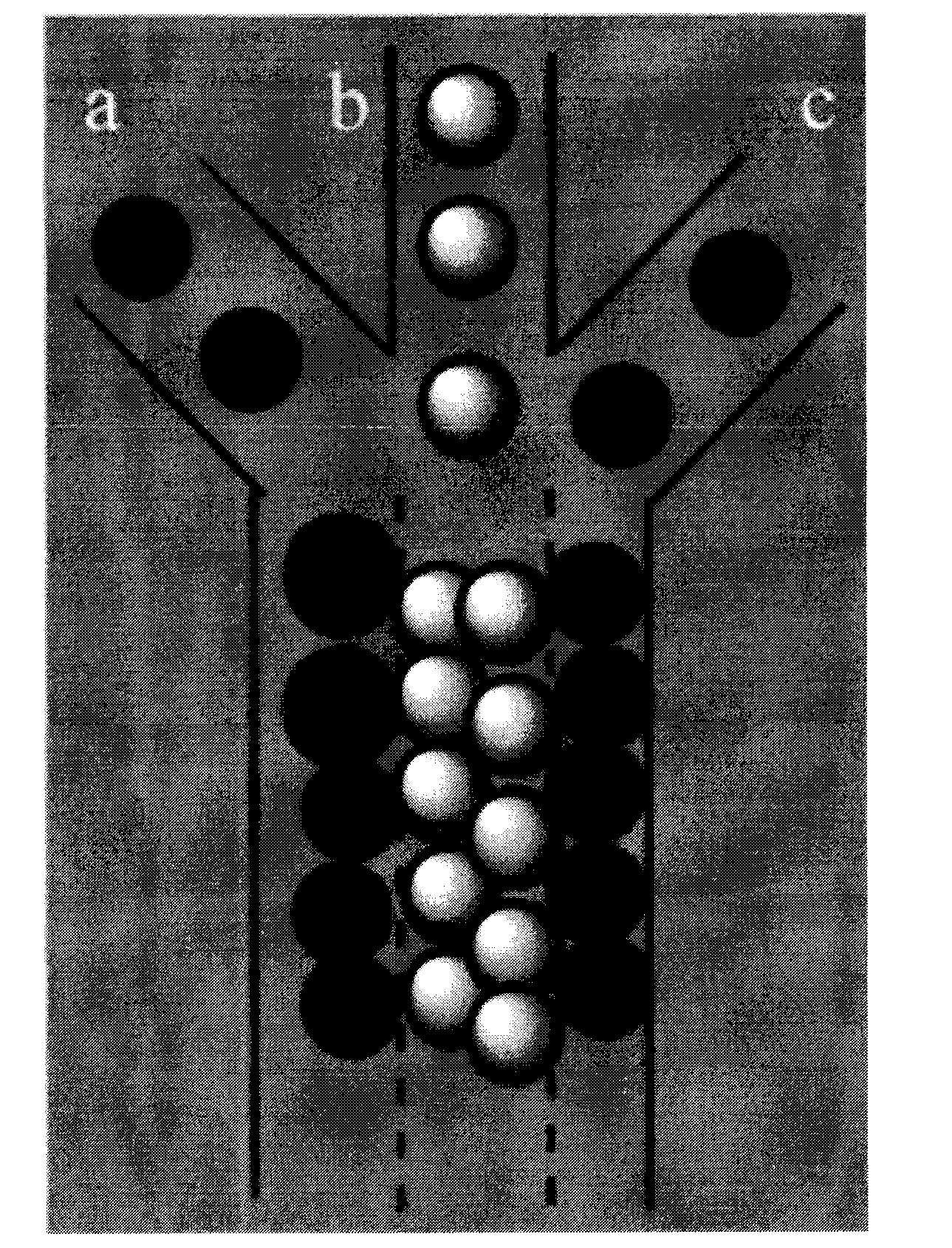 Novel efficient micro-fluidic multi-cell co-culturing chip and preparation method thereof