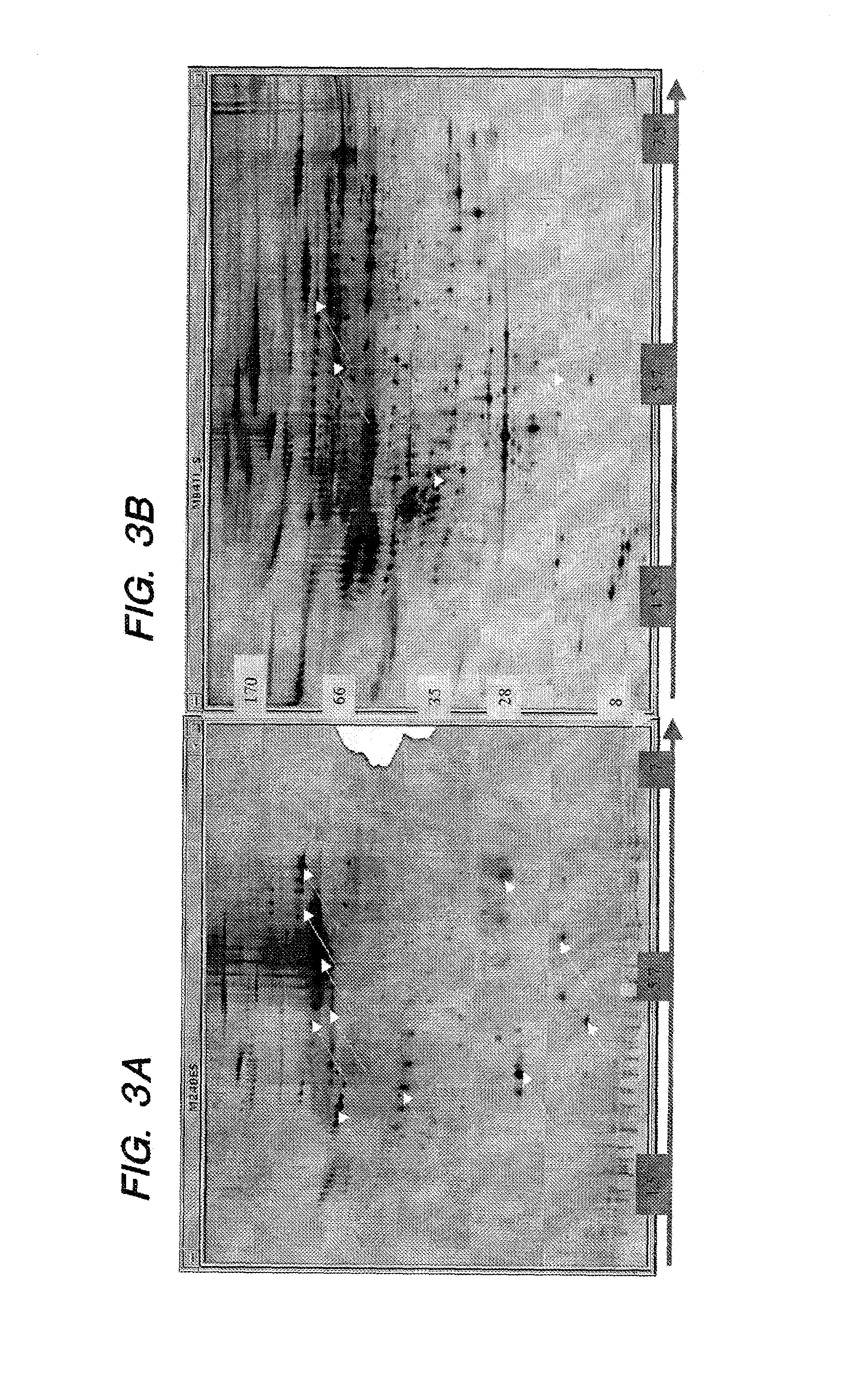 Immunosubtraction method