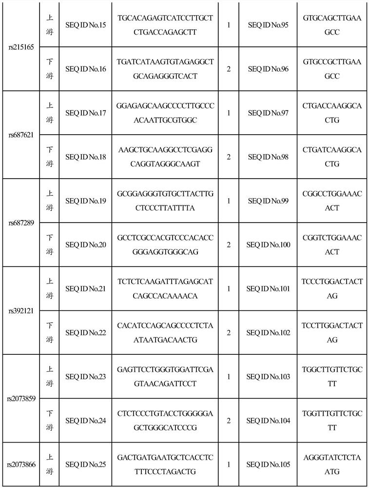 Application of snp site and its primers, probes and detection kits