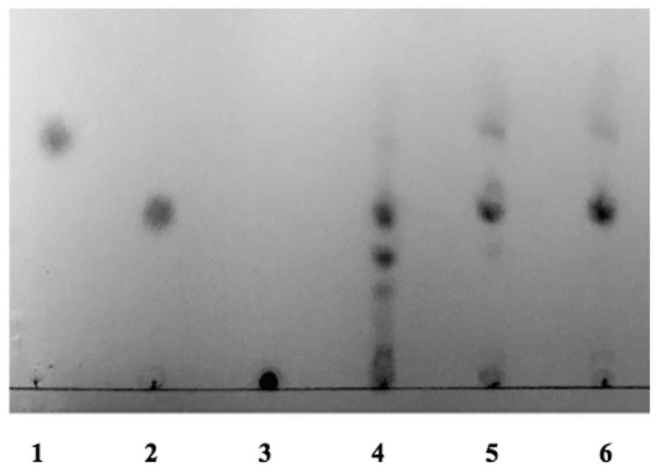 A kind of β-agarase and its gene and application