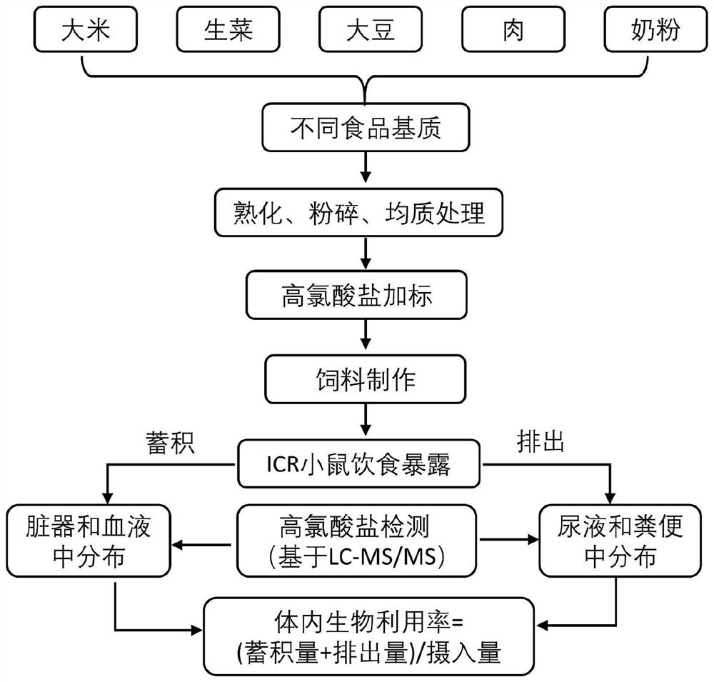 Method for evaluating in-vivo bioavailability of perchlorate in food matrix