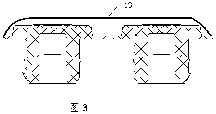 Coated drug bottle plug and manufacturing method thereof