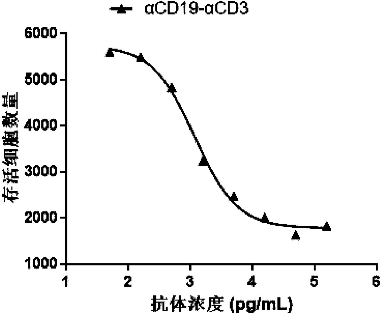 Bispecific antibody capable of binding to human CD19 or CD20 and human CD3, and application thereof