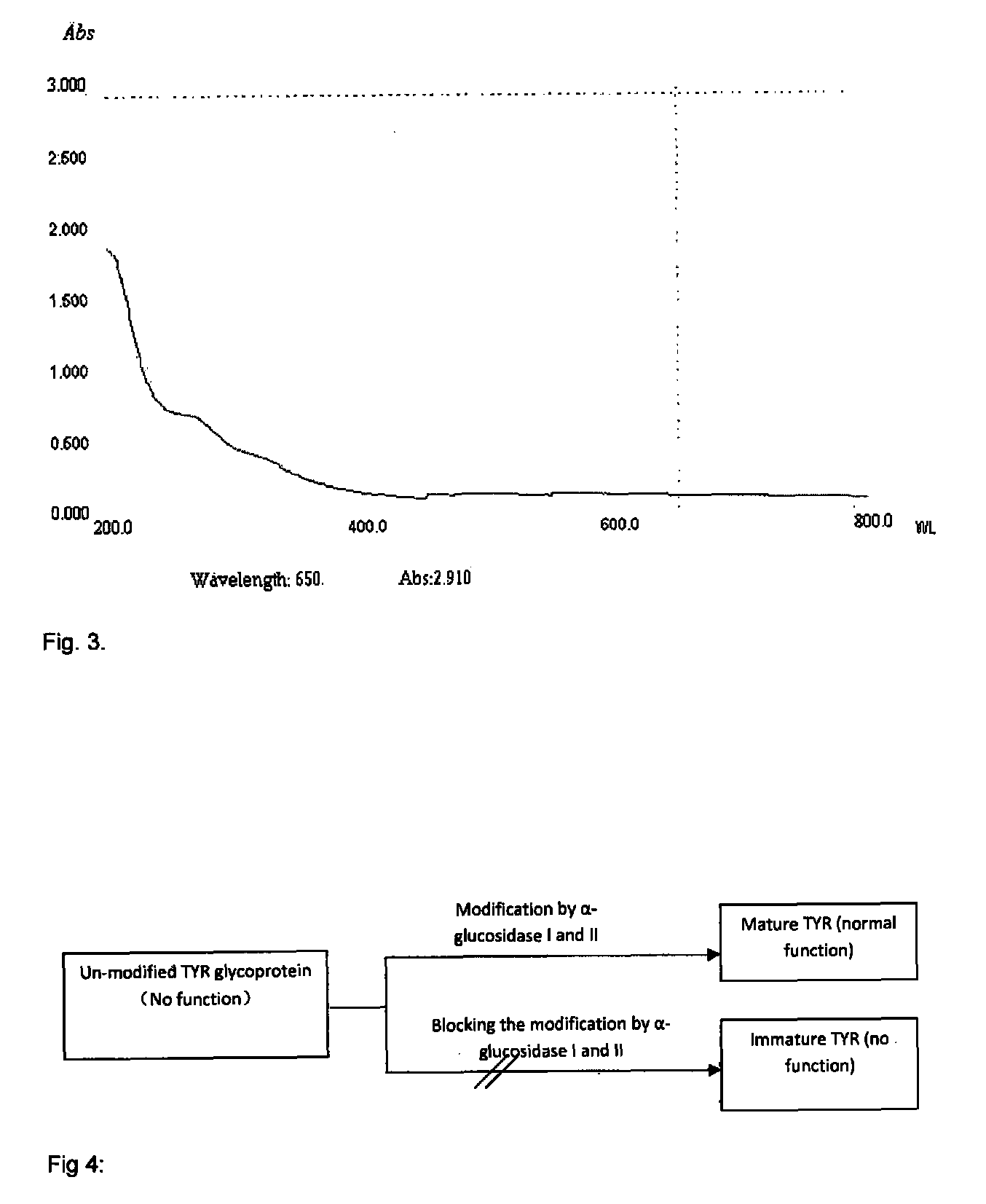 Plant extract, compositions containing same, method of extraction and uses thereof