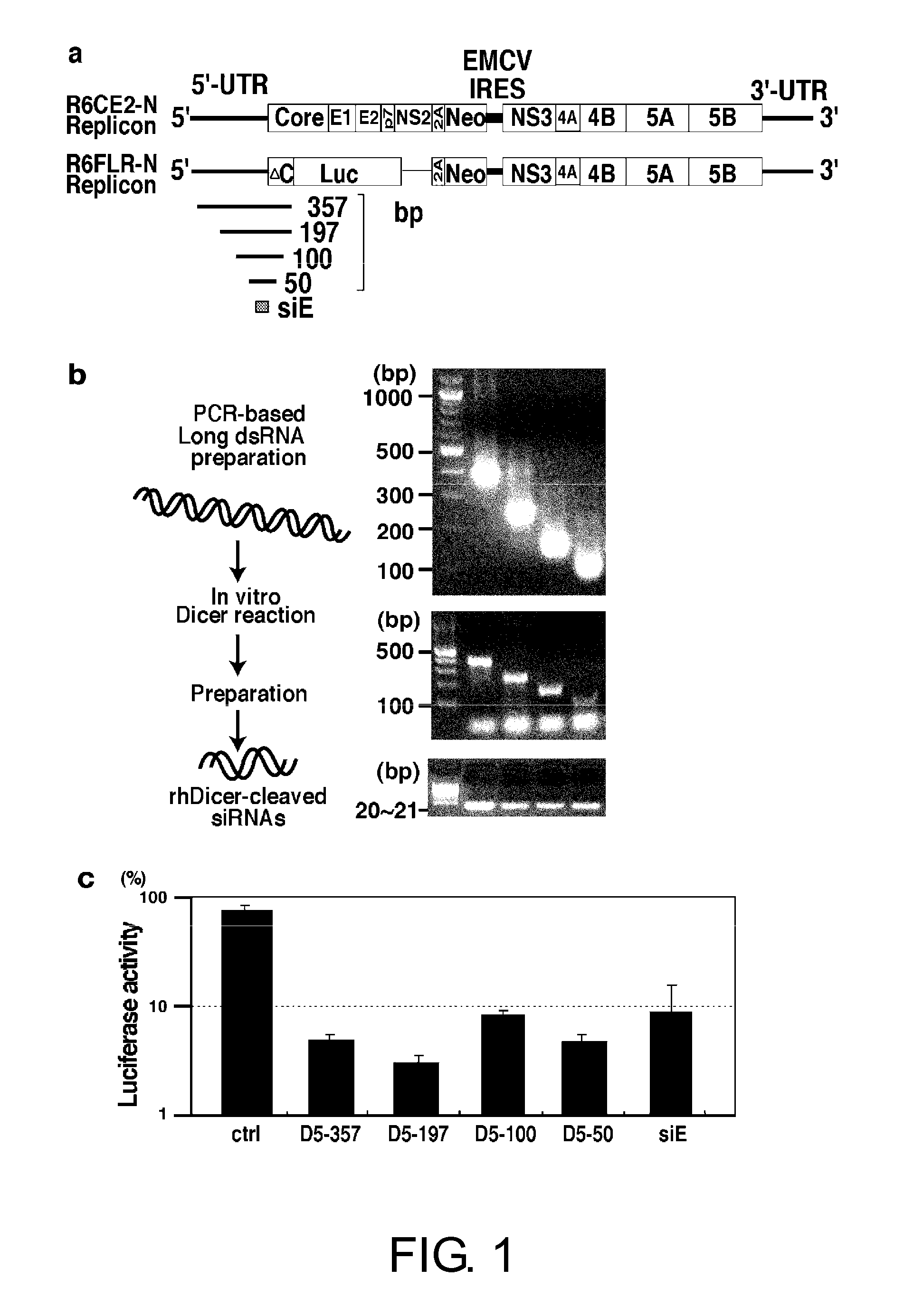 Oligoribonucleotide or Peptide Nucleic Acid Capable of Inhibiting Activity of Hepatitis C Virus