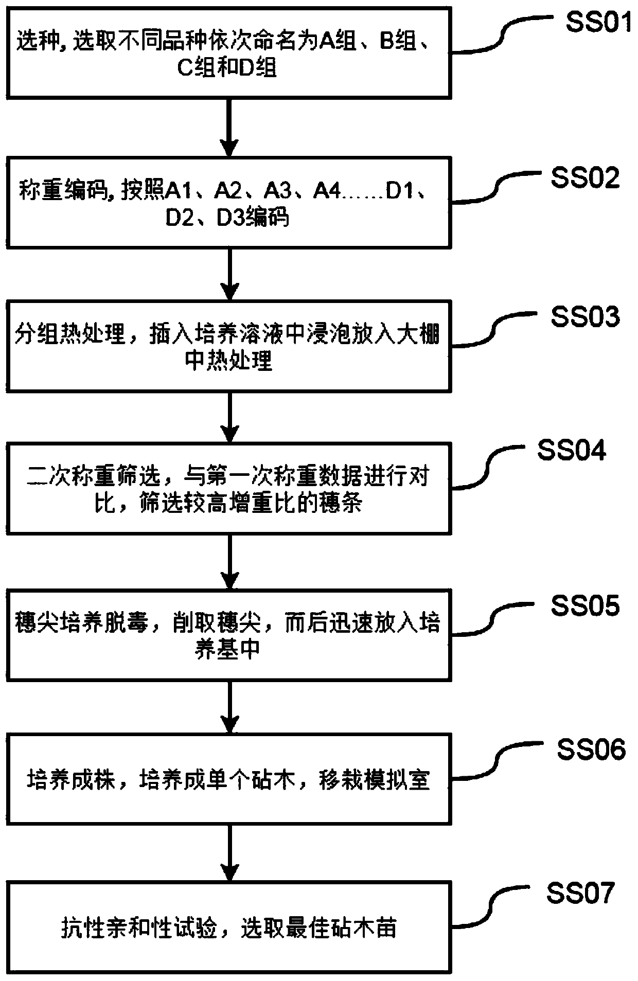 Culture method of asexual cloned virus-free seedlings of sweet cherry rootstock