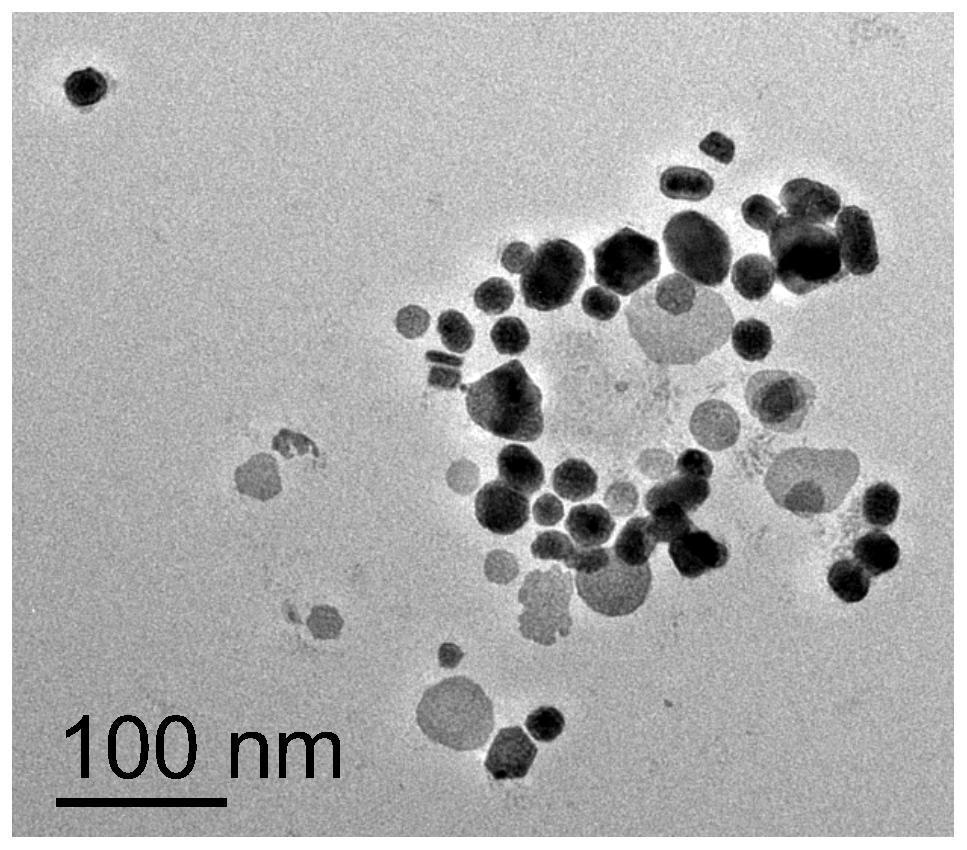 Pd&lt;x&gt;Pt&lt;(50-x)&gt;Bi&lt;50&gt; ternary alloy nanoparticles as well as preparation method and application thereof