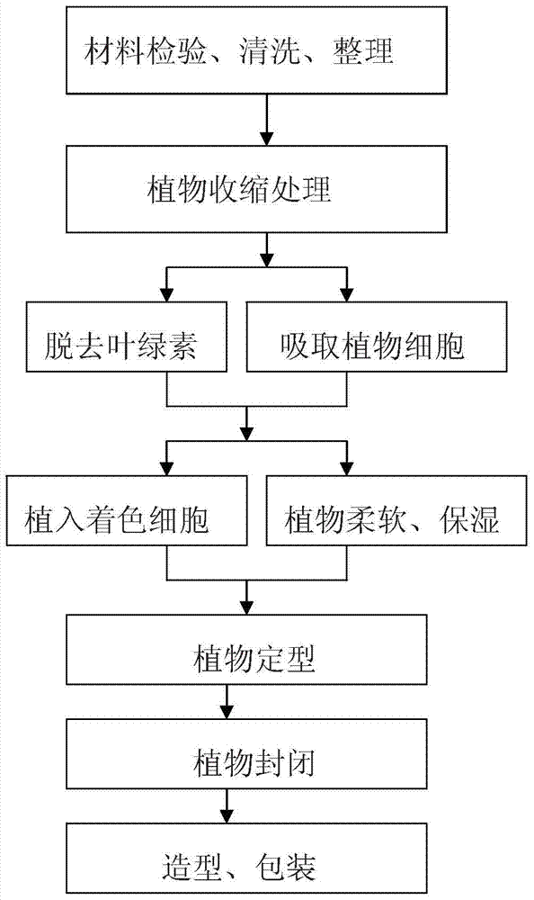 Fresh-cut plant preservation method and fresh-keeping plant prepared by using same