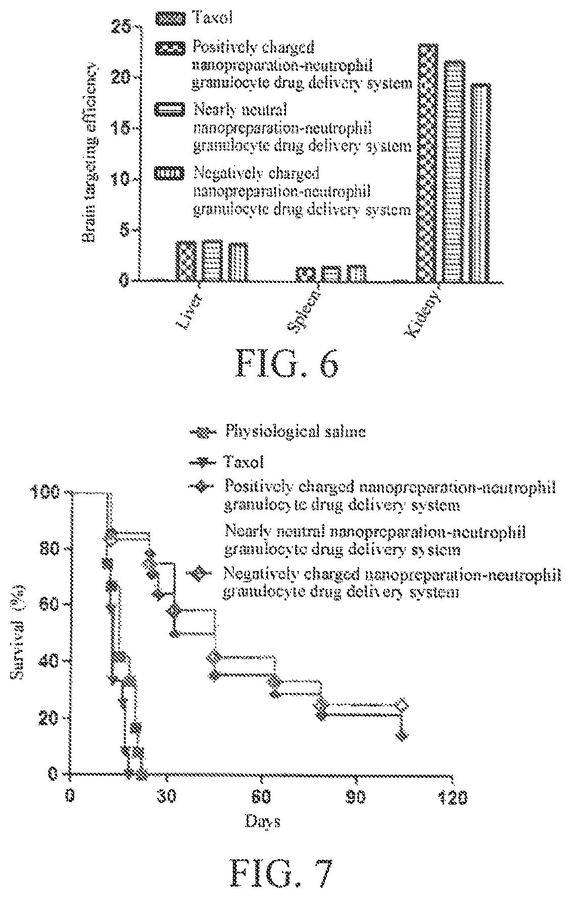 Inflammation-targeted neutrophil granulocyte drug delivery system and use thereof