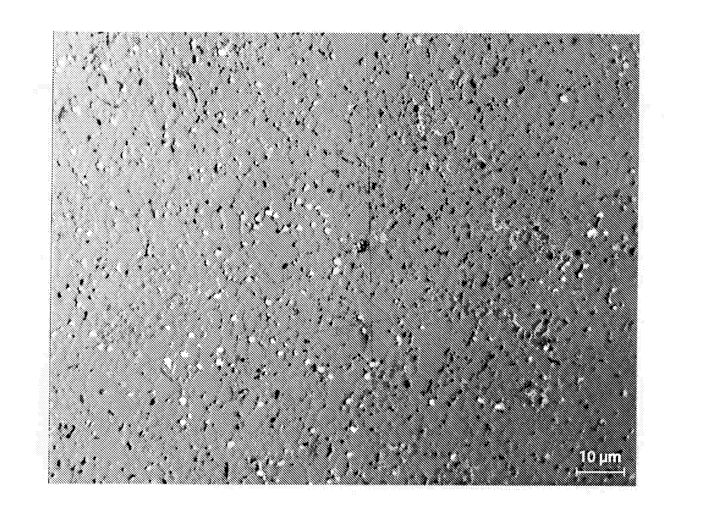 Boron carbide based materials and process for the fabrication thereof