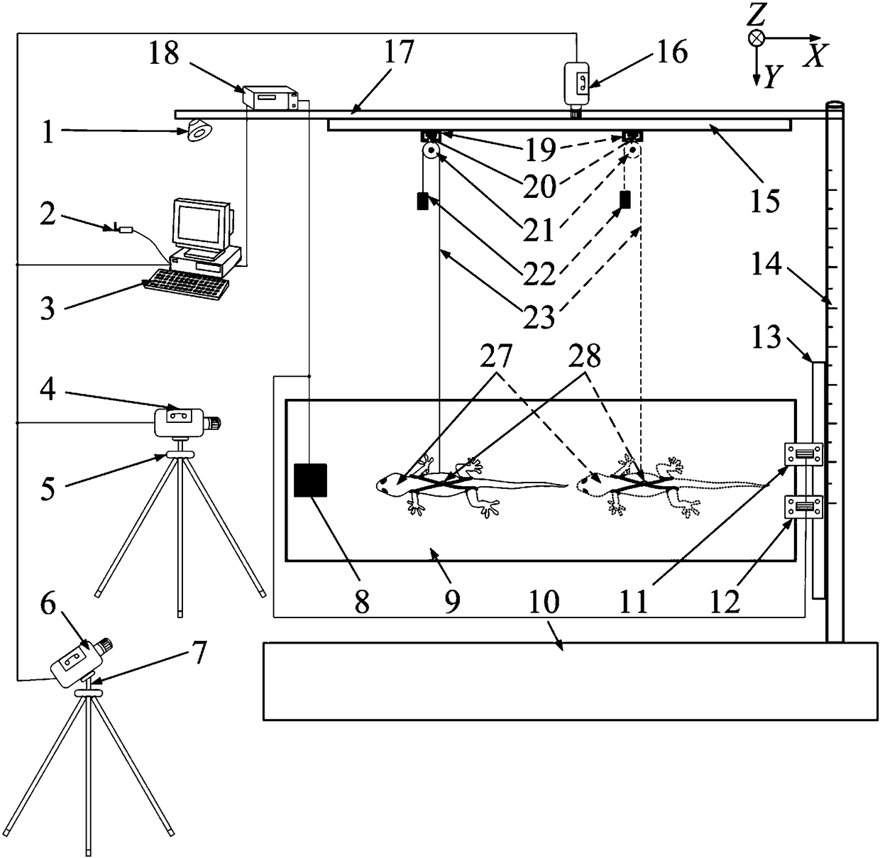 Vibration test and method for adhesion motion on elastic plane under simulated microgravity