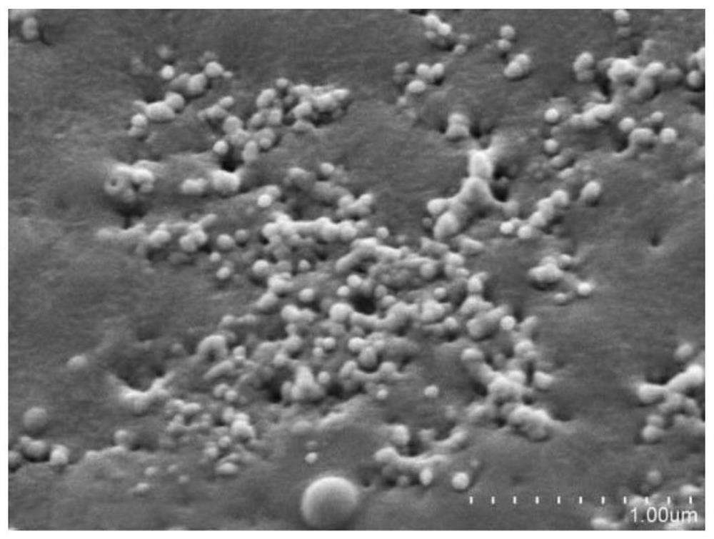 Alkali lignin micro-nanosphere/paper-based adsorption material and its preparation method and application in the treatment of dye wastewater