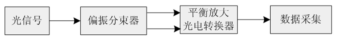 Polarization-sensitive distributed perturbation sensing and measuring method and system
