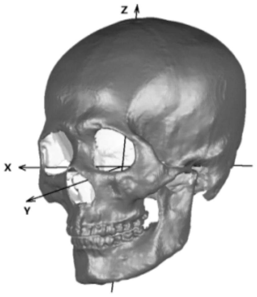 Skull appearance restoration model construction method and skull appearance restoration method and system