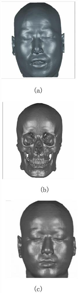 Skull appearance restoration model construction method and skull appearance restoration method and system