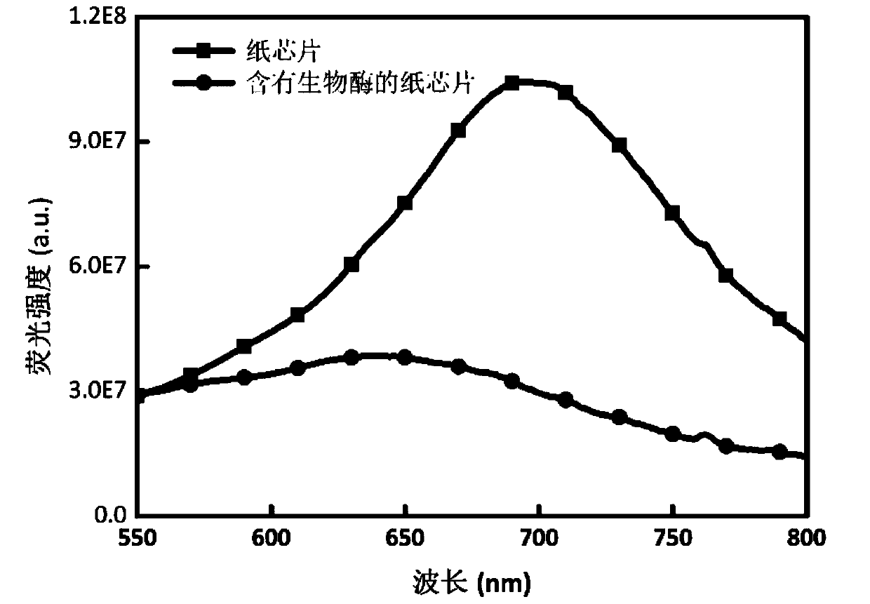 A kind of paper chip and preparation method thereof