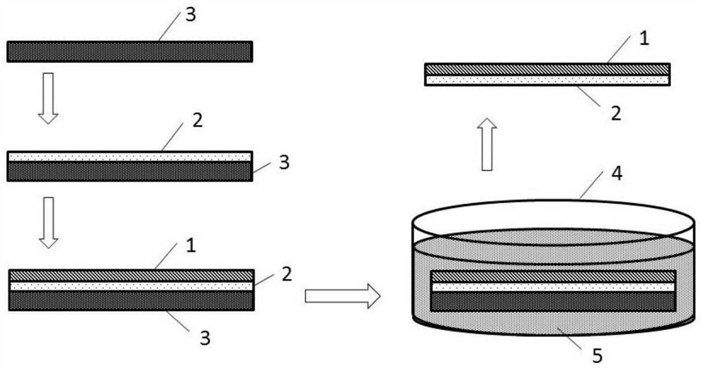 A novel submicron-scale radioactive film source and its preparation method